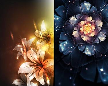 Скриншоты к Светящиеся Цветы Живые Обои